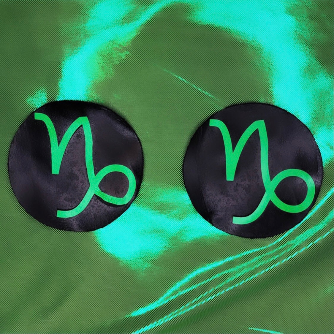 CAPRICORN reusable pasties