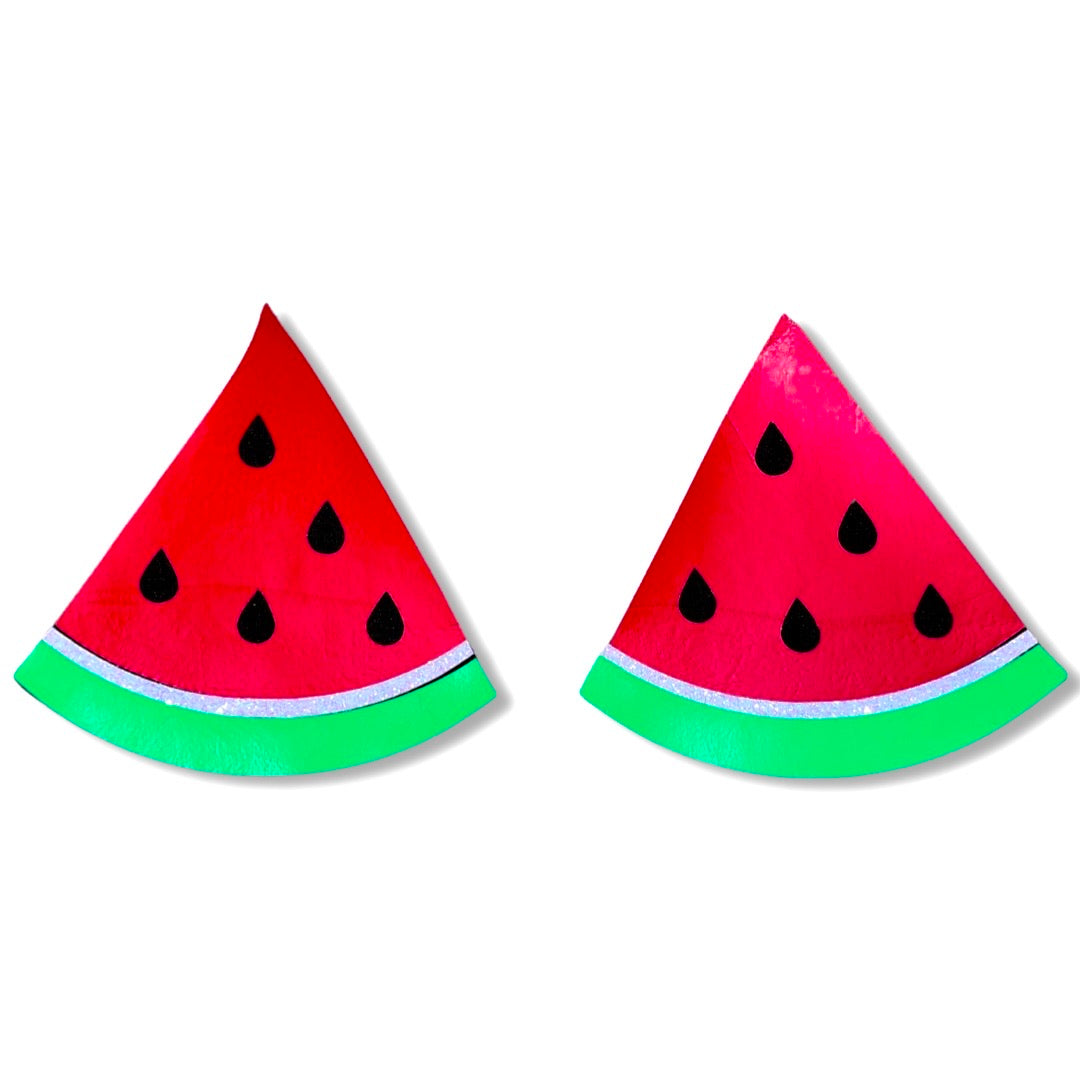‘Watermelon Sugar’ Reusable Pasties